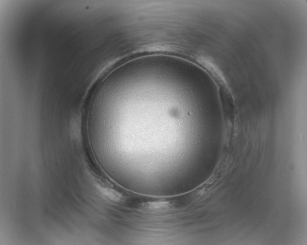 X0000068810108200605081130