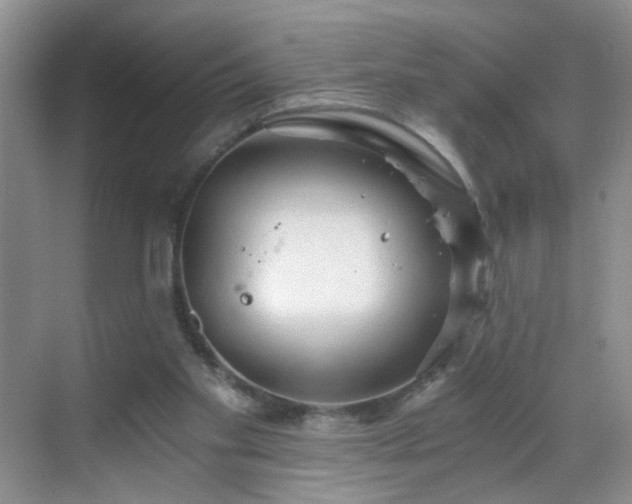 X0000068810109200605081130