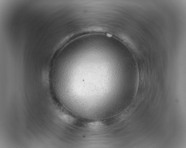 X0000068810112200605081129