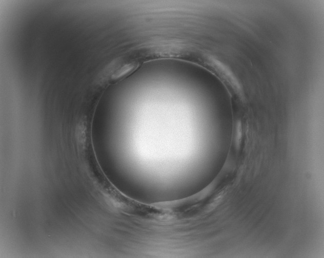 X0000068810113200605081129