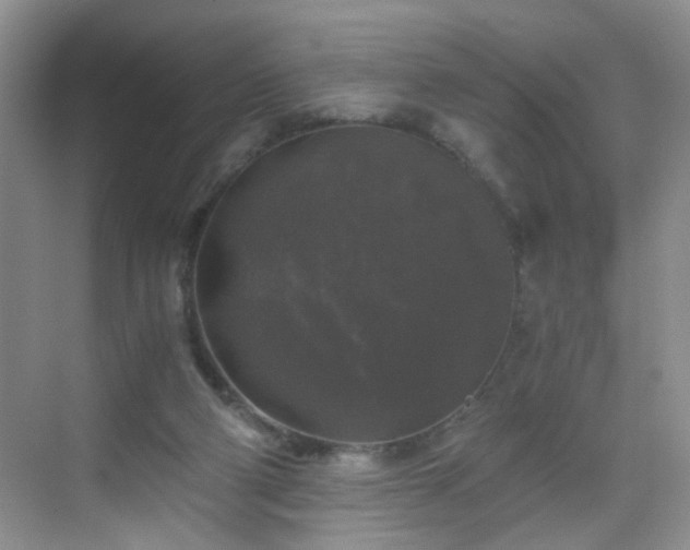 X0000068810114200605081129