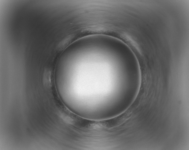 X0000068810115200605081129