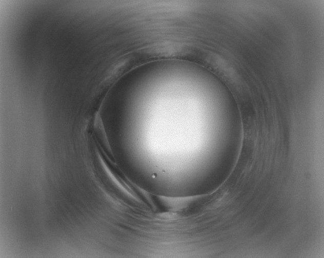 X0000068810119200605081129