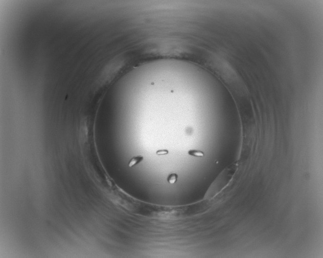 X0000068810120200605081129