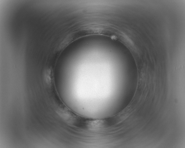 X0000068810122200605081129