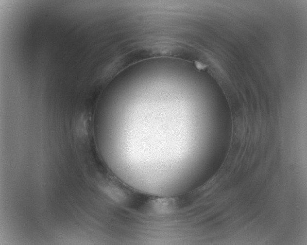 X0000068810126200605081129