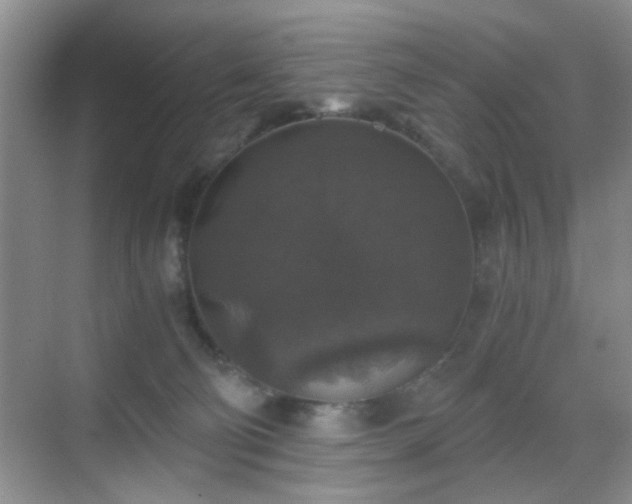 X0000068810130200605081129