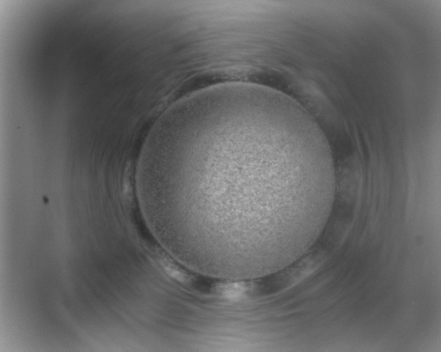 X0000068810131200605081129