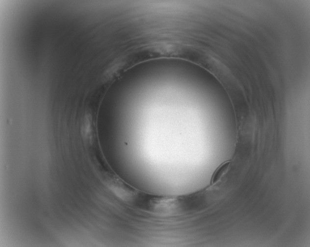 X0000068810132200605081129