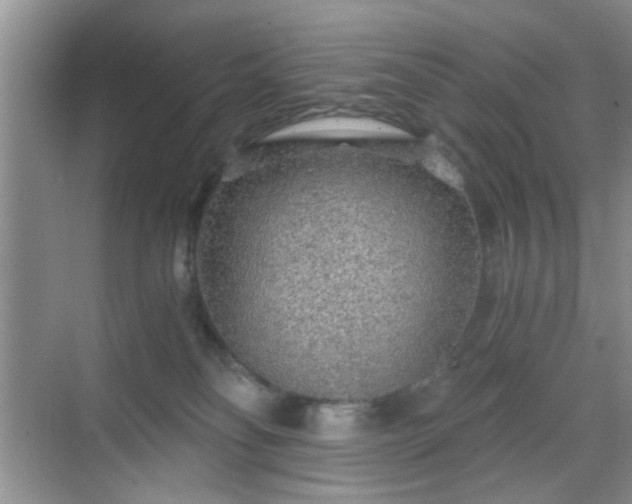 X0000068810134200605081129