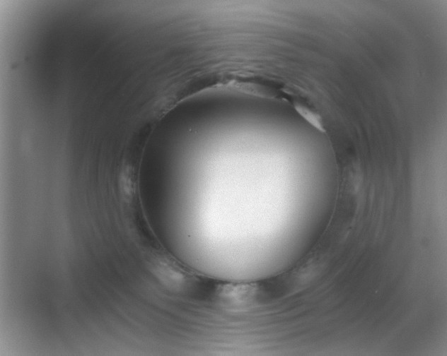 X0000068810135200605081129