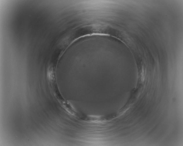 X0000068810137200605081129