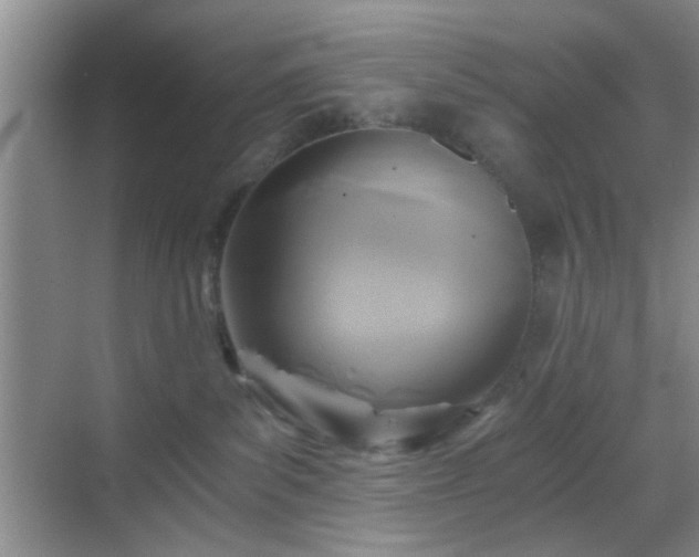 X0000068810139200605081129