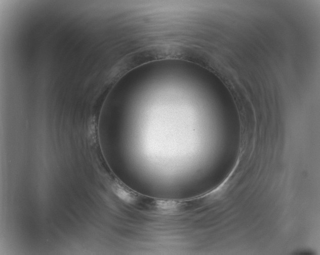 X0000068810144200605081129