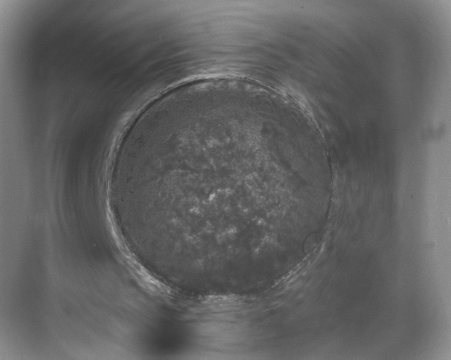 X0000068810145200605081128