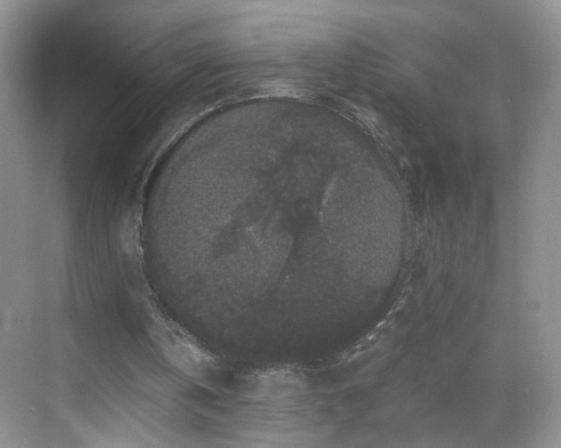 X0000068810146200605081128