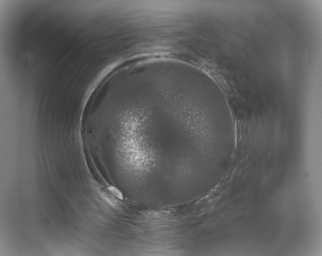 X0000068810147200605081128