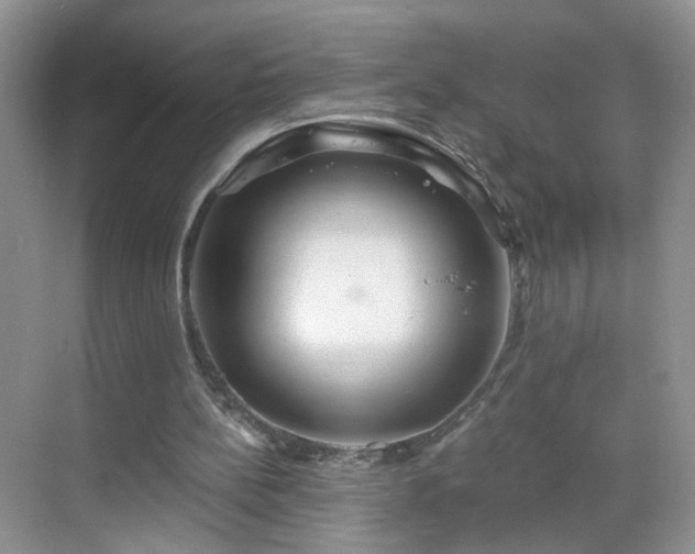 X0000068810148200605081128