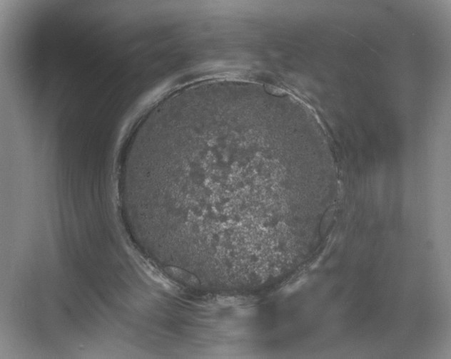 X0000068810149200605081128