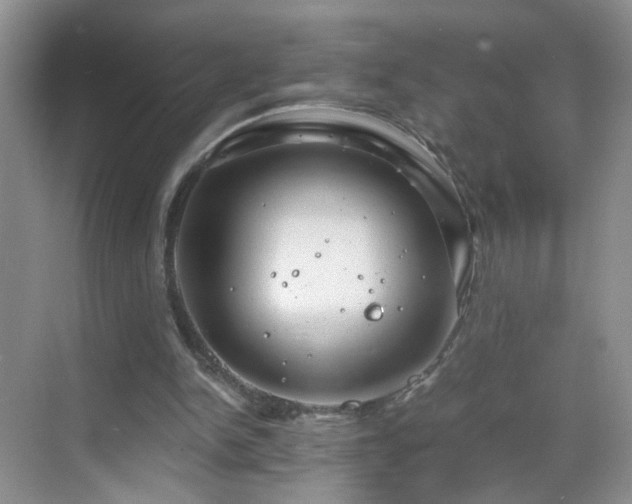 X0000068810150200605081128