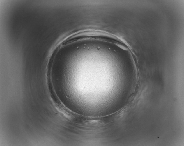 X0000068810151200605081128