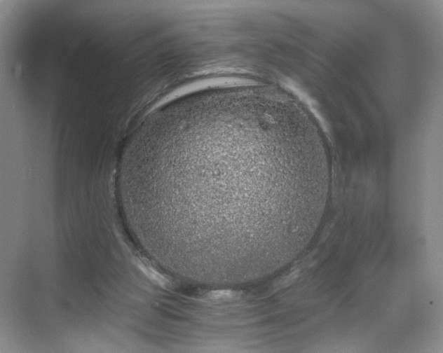 X0000068810153200605081128