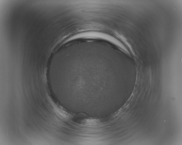 X0000068810154200605081128