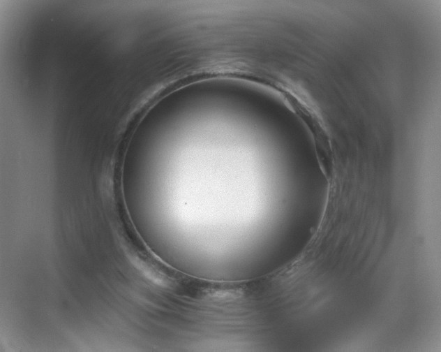 X0000068810155200605081128