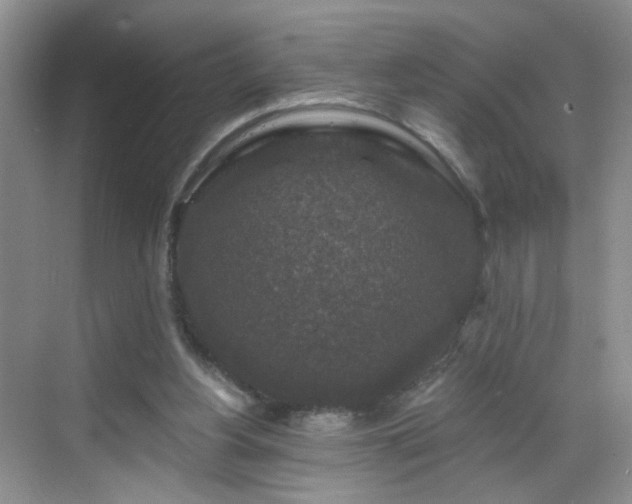 X0000068810156200605081128