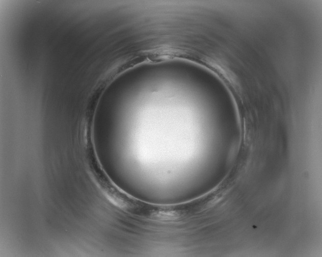 X0000068810157200605081128