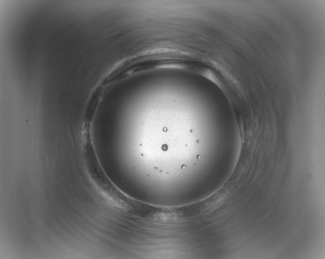 X0000068810160200605081128