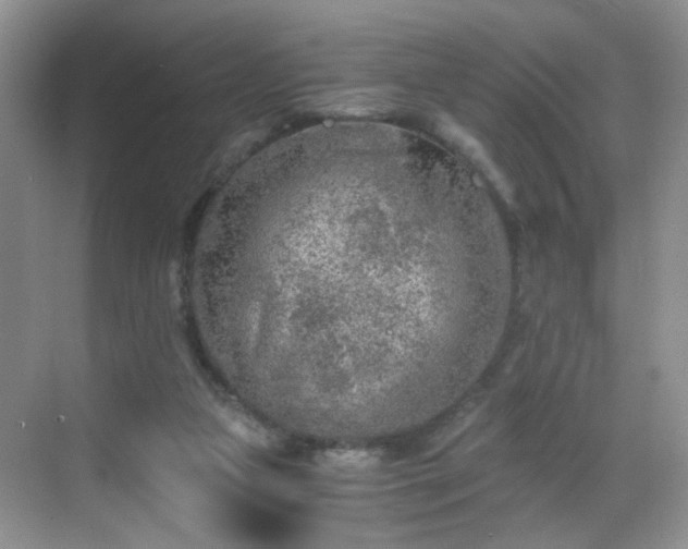 X0000068810161200605081128