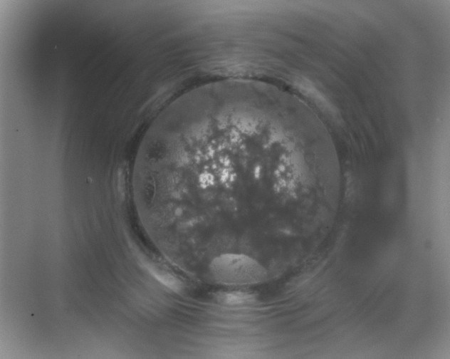 X0000068810165200605081128