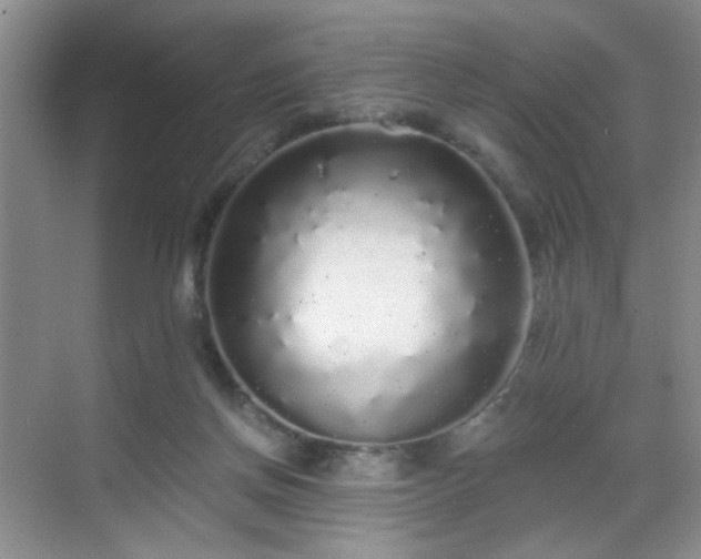 X0000068810166200605081128