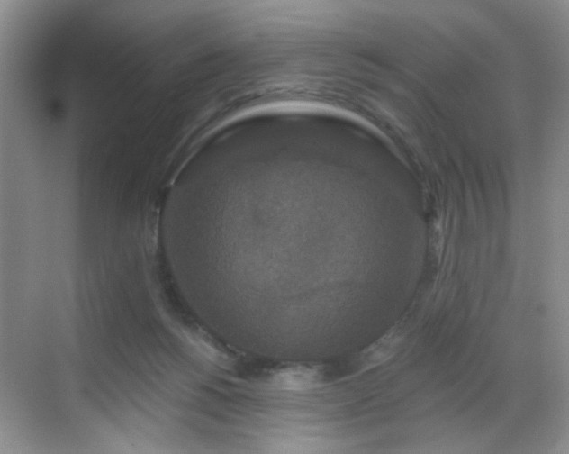 X0000068810168200605081129