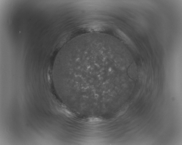 X0000068810169200605081129