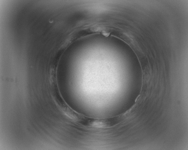 X0000068810171200605081129