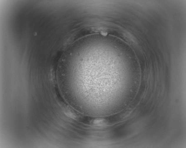 X0000068810173200605081129