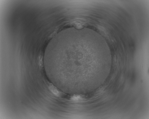 X0000068810177200605081129