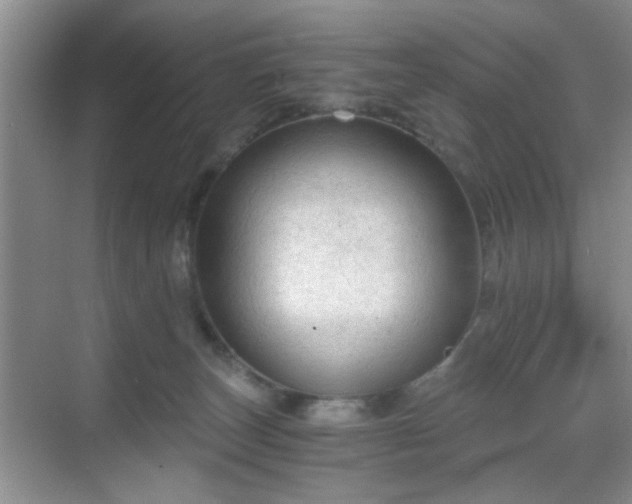 X0000068810179200605081129