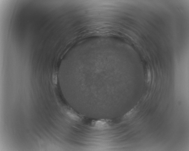 X0000068810180200605081129