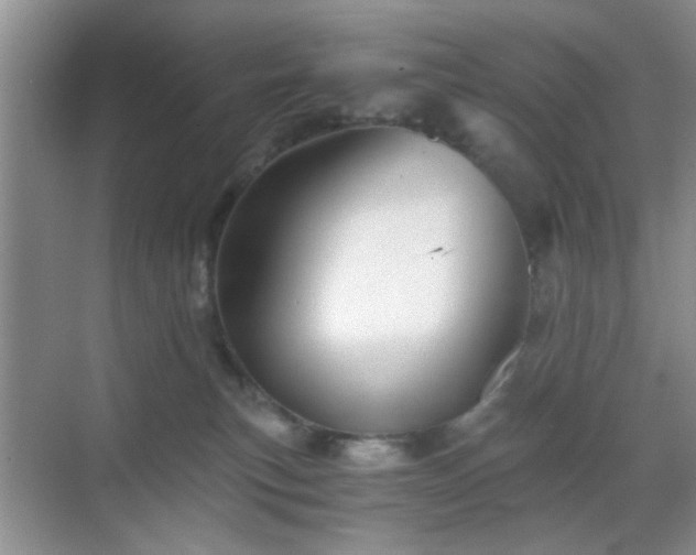 X0000068810183200605081129