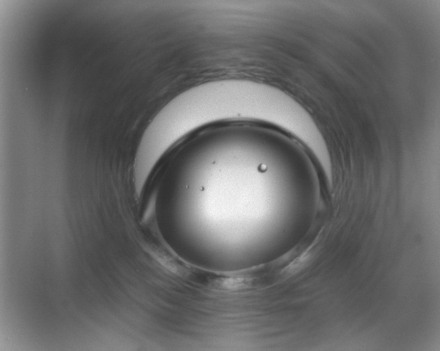 X0000068810184200605081129