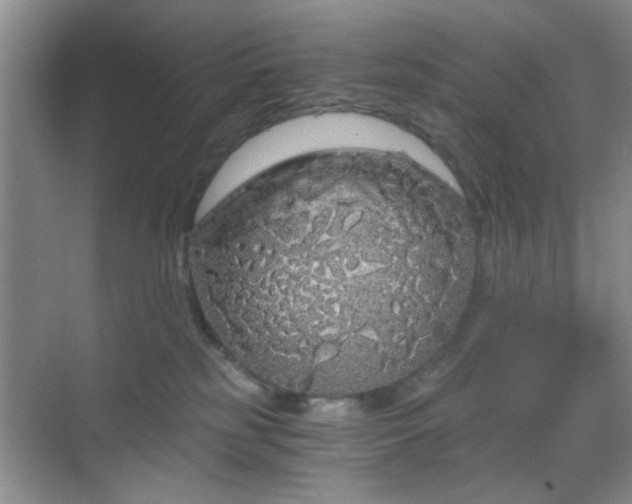 X0000068810185200605081129