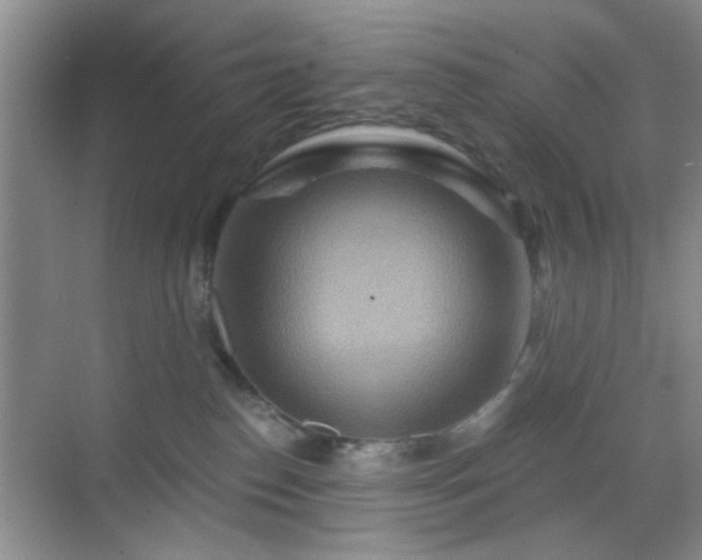 X0000068810186200605081129