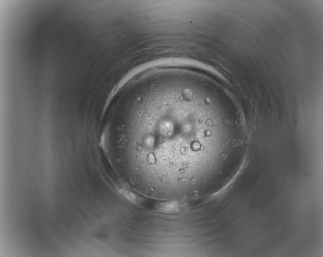 X0000068810191200605081129