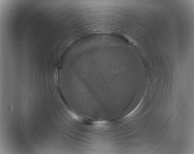 X0000068810192200605081129