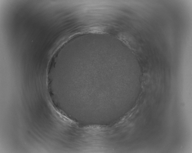 X0000068810194200605081128