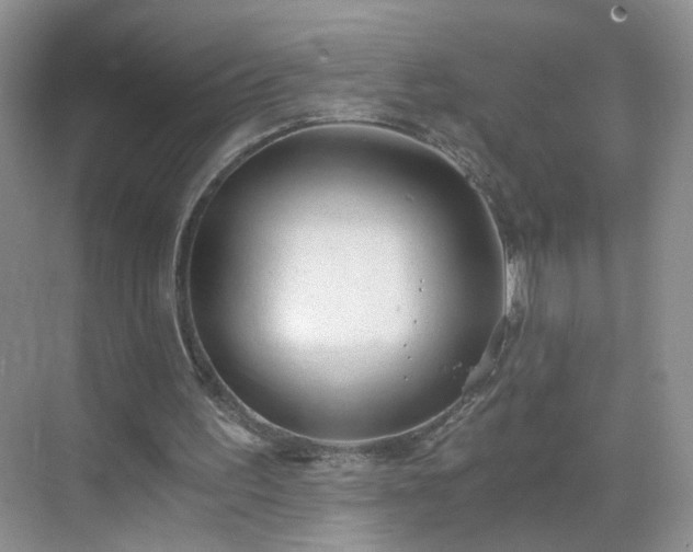 X0000068810195200605081128