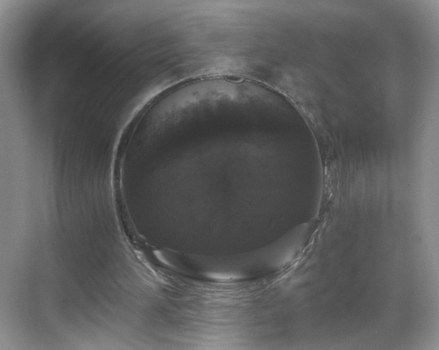 X0000068810196200605081128